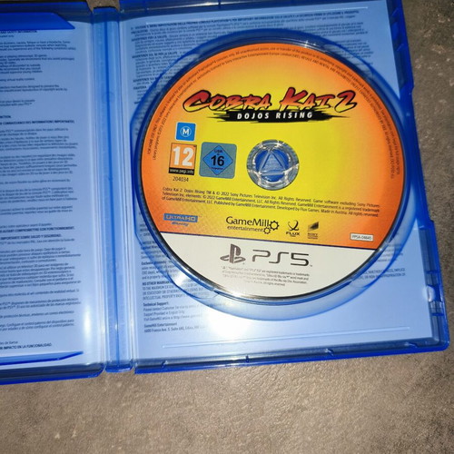 Cobra Kai 2 Dojos Rising PlayStation 5 game like new