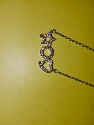 Stainless steel rosegold necklace new