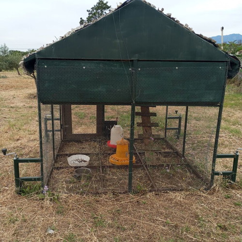 Mobile chicken coop used with automatic timer door