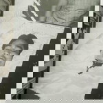 *** Η ΖΩΗ ΤΟΥ ΜΠΡΟΥΣ ΛΗ - Δυναμικές εκδόσεις - Πολεμικές τέχνες***