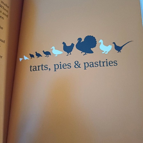 John Torode's Chicken and Other Birds book like new in English