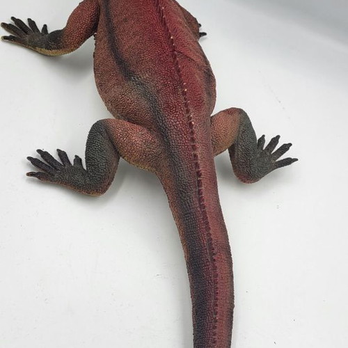 Silicone iguana XL used, in various colors