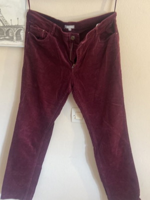 Velvet pants used, size 40