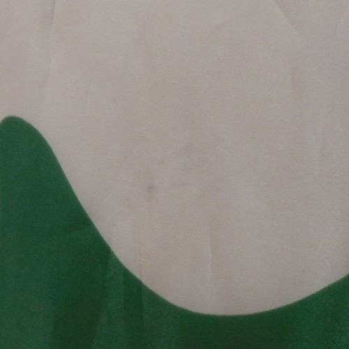 Panathinaikos FC advertising fabric flag used with plastic handle