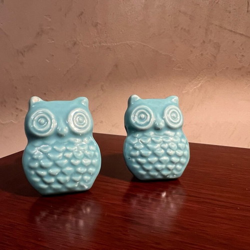Turquoise ceramic owl door knobs like new