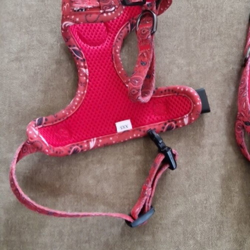 FURRY TAILLS dog harness with leash, like new, red bandana