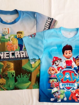 Minecraft and Paw Patrol kids t-shirt set used