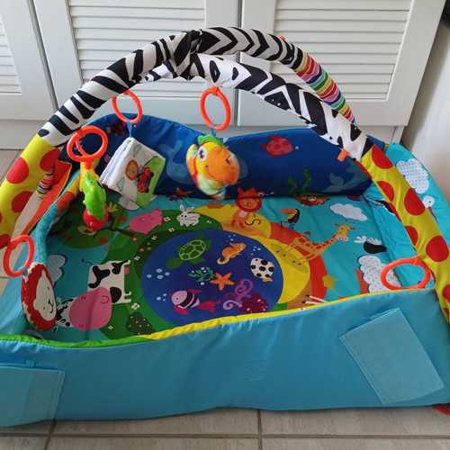Lionelo Anika Baby Gym and Activity Mat like new with Accessories
