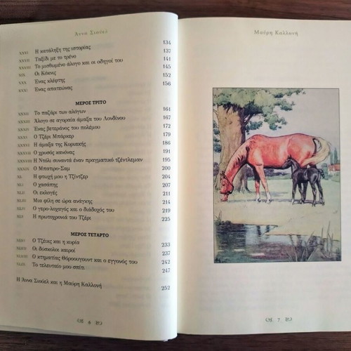 Black Beauty by Anna Sewell new hardcover book with color illustrations