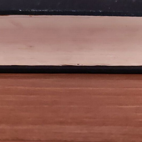 Homer's Odyssey Volume 1 like new, emmetrical translation by Iakovos Polylas