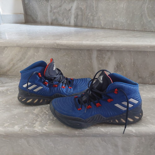 Adidas Crazy Explosive 2017 Loyalty basketball shoes