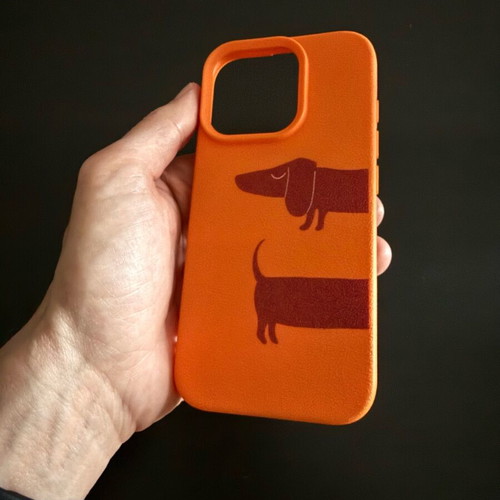 Plastic iPhone 16 Pro case like new with design