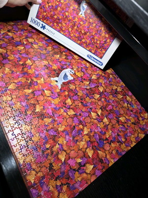 Frozen II Disney puzzle 1000 pieces used