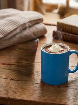 Ceramic mug new