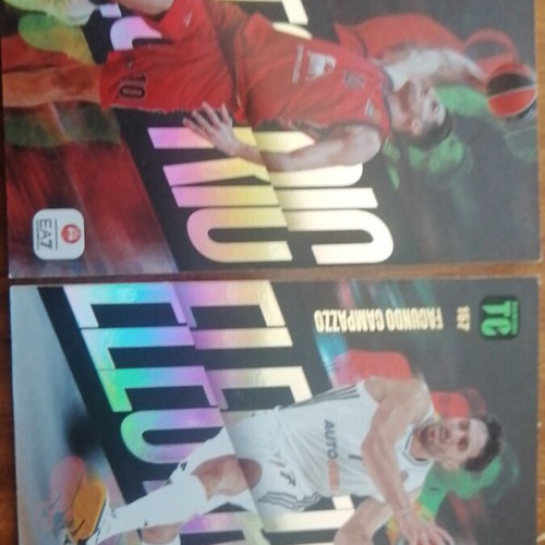 Electric Canpazzo and Bolmaro collectible cards like new