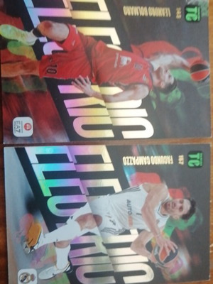 Electric Canpazzo and Bolmaro collectible cards like new
