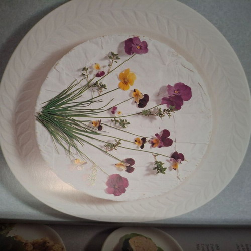 Magic Garnishes cookbook by Vefa Alexiadou like new