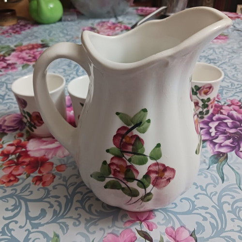 Porcelain set 6 glasses and 1 jug floral design like new