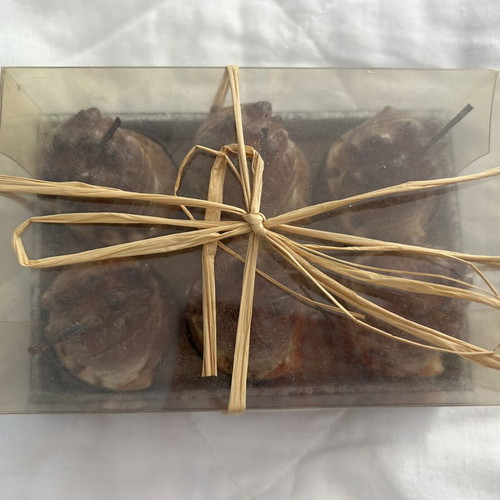 Tealight candles seashell set of 6 new in box