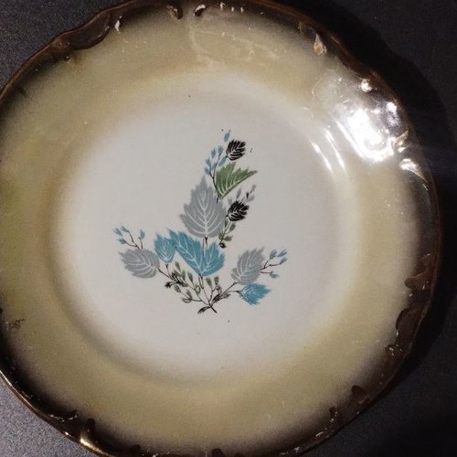 Dishes used, pack of 4, Austrian porcelain from the 1950s