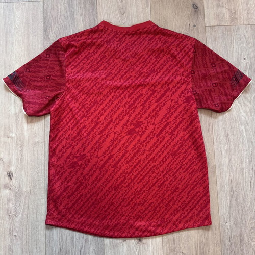Vietnam National Team 2023/24 Home Player Version Football Shirt XL like new