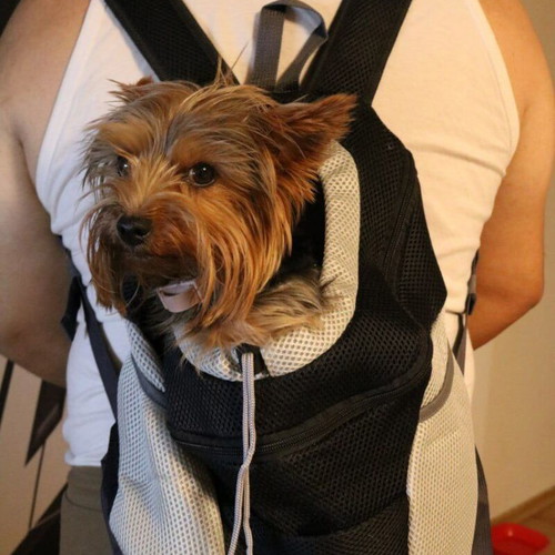 Portable dog and cat backpack new, mesh fabric