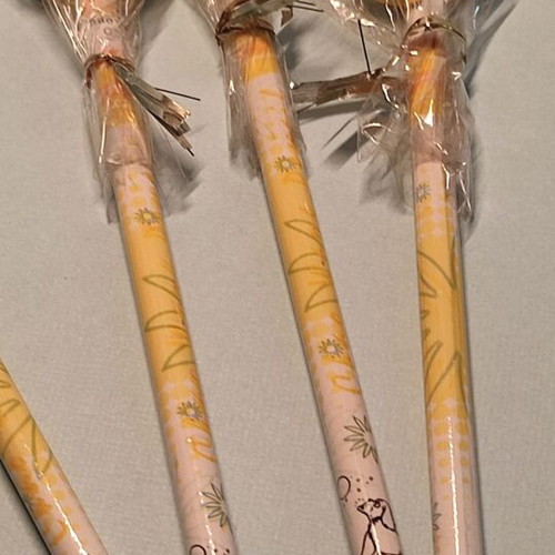 Pack of 10 pencils with removable eraser and decorative words