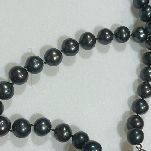 South Sea Black Peacock Necklace new with natural pearls