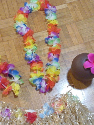 Hawaiian carnival costume like new, one size with accessories