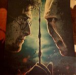  Συλλεκτικη Αφισα Harry Potter Vs Lord Voldemort