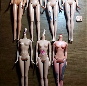 Ένα πακέτο με 7 κορμιά για την Barbie and Simba