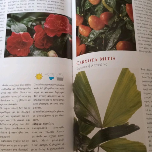Book about indoor plants like new