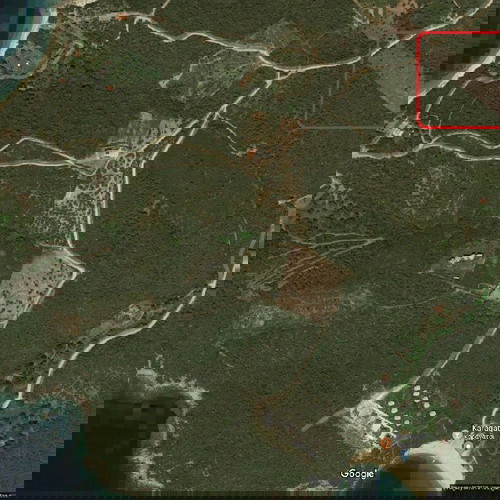 Αγροτεμάχιο 4483,5 τ.μ. οικοδομήσιμο στην Αμμουλιανή Χαλκιδικής