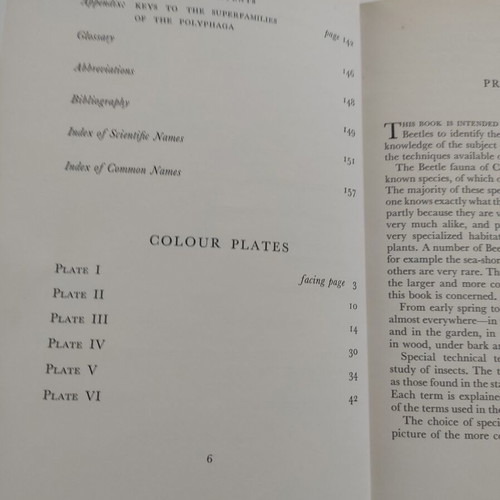 Beetles (Open Air Guides) Jan Bechyne et al 1956 like new