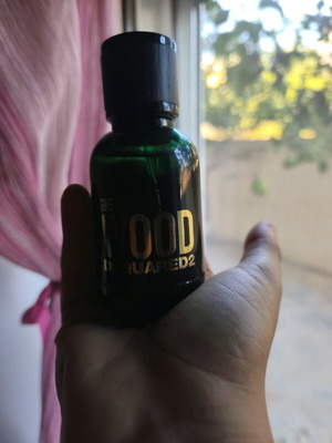 green wood dsquared2