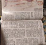 Cosmopolitan September 1986 used