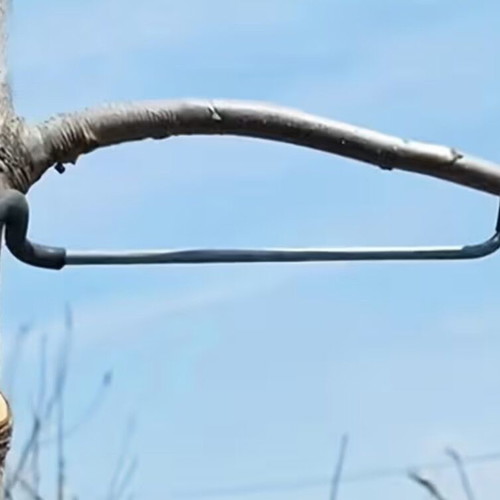 Metal branch spreader for fruit trees, set of 10