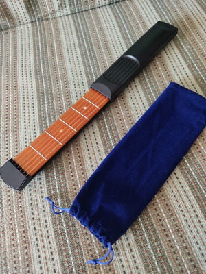 Portable guitar chord trainer with 6 frets and real strings