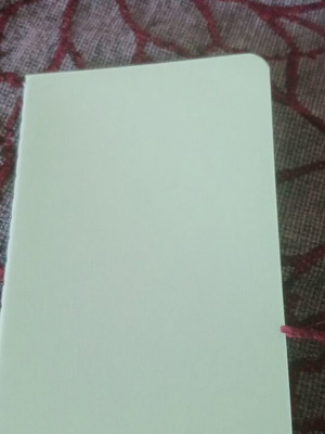Mini green notebook, 14x9 cm