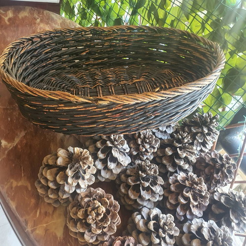 Basket with 15 pine cones