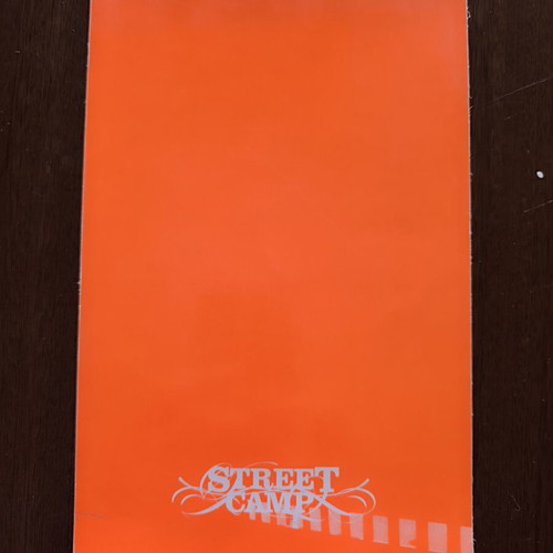 Street Camp Skateboard Art Catalog 2006 like new