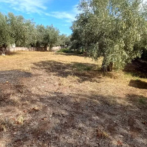 Land 500 sqm within city plan in Politika Evia buildable