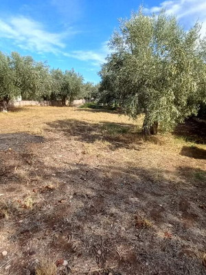 Land 500 sqm within city plan in Politika Evia buildable