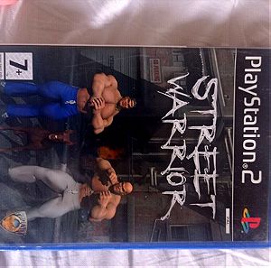 Street Warrior PS2 Παιχνίδι