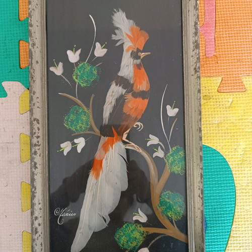 Frame used with wooden border and bird feathers from Mexico