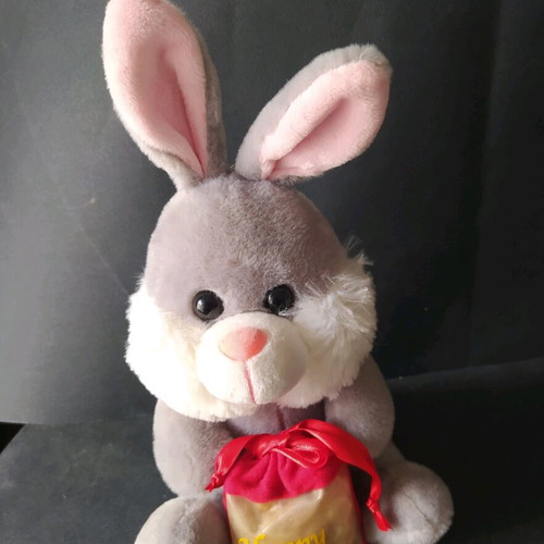 Plush bunny used