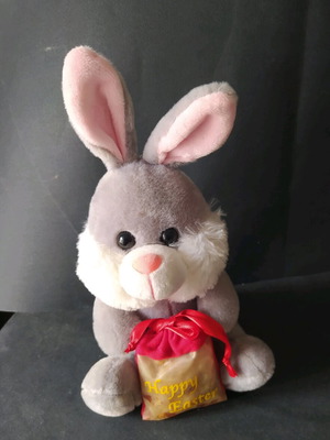 Plush bunny used