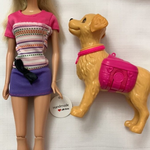 Potty Training Taffy Barbie Doll and Pet Playset used
