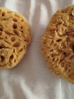 Kalymnos sponges new, set of 2 pieces
