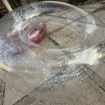 Inflatable ring used